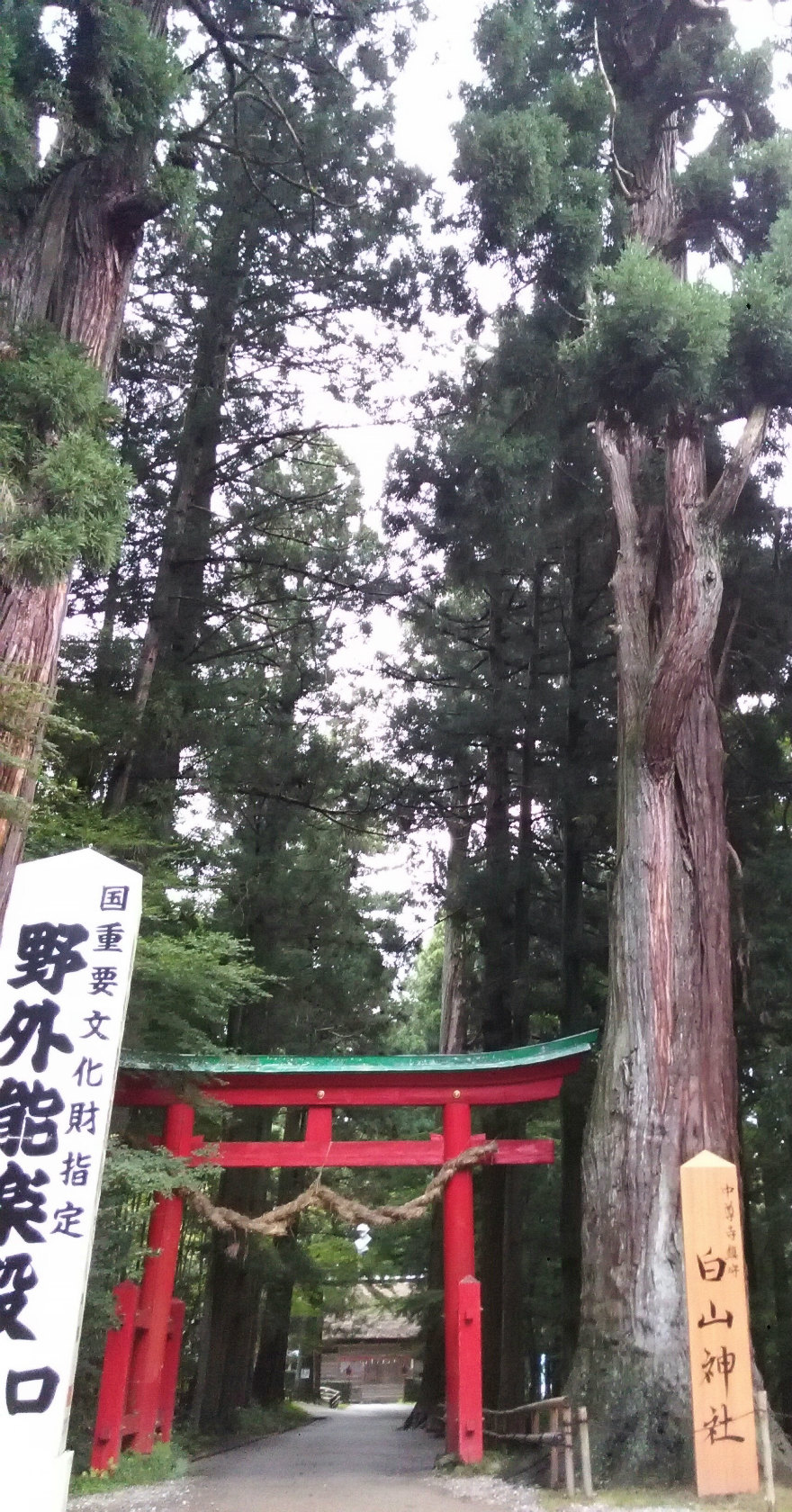 ひらいずみ